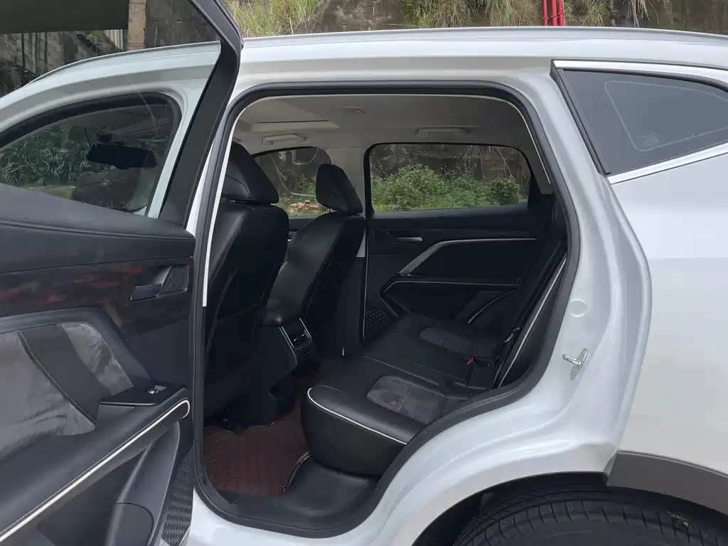 Haval H6 China Style 1.5 T Auto Champion