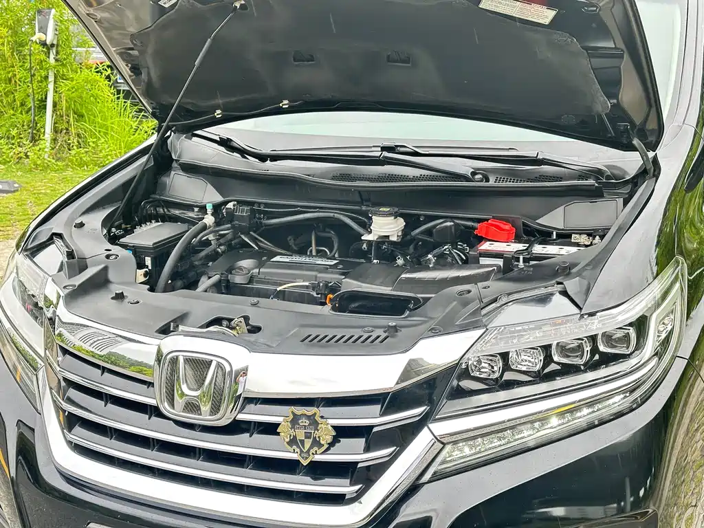 Elysion 2.4 L Luxury