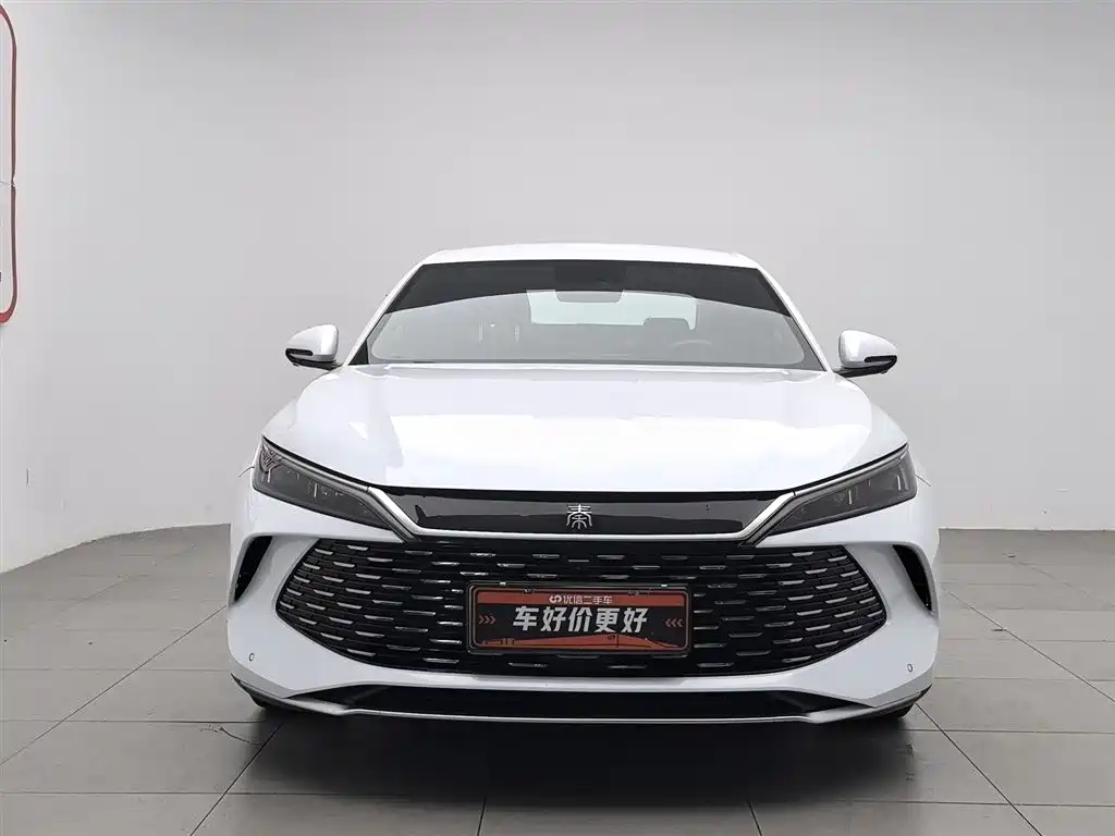 Qin L DM-i 80 KM Transcend