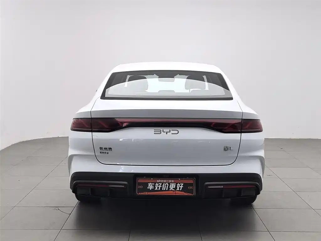 Qin L DM-i 80 KM Transcend