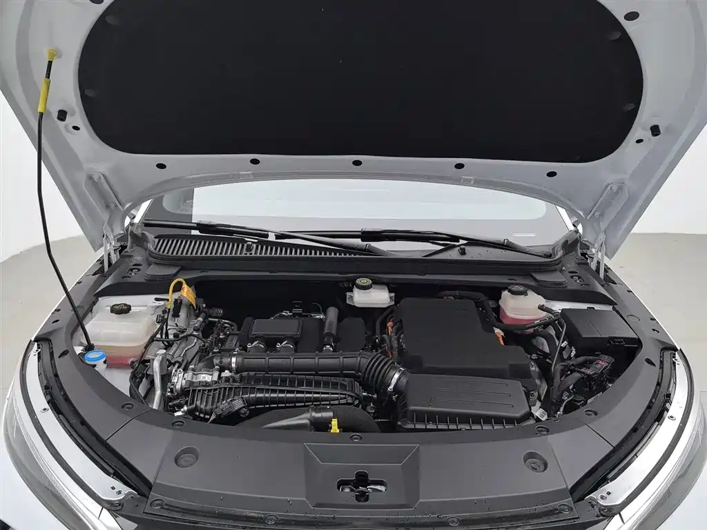 Qin L DM-i 80 KM Transcend