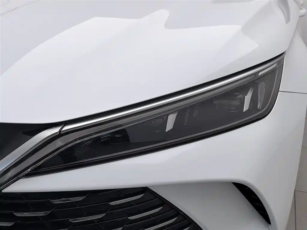 Qin L DM-i 80 KM Transcend