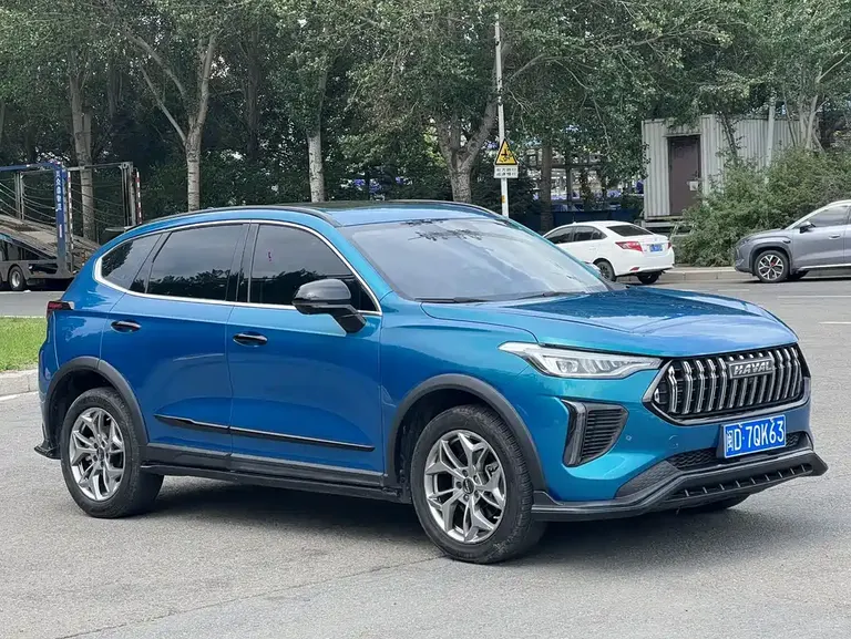Haval Chitu Power Enjoyment 1.5 T Bronze Rabbit
