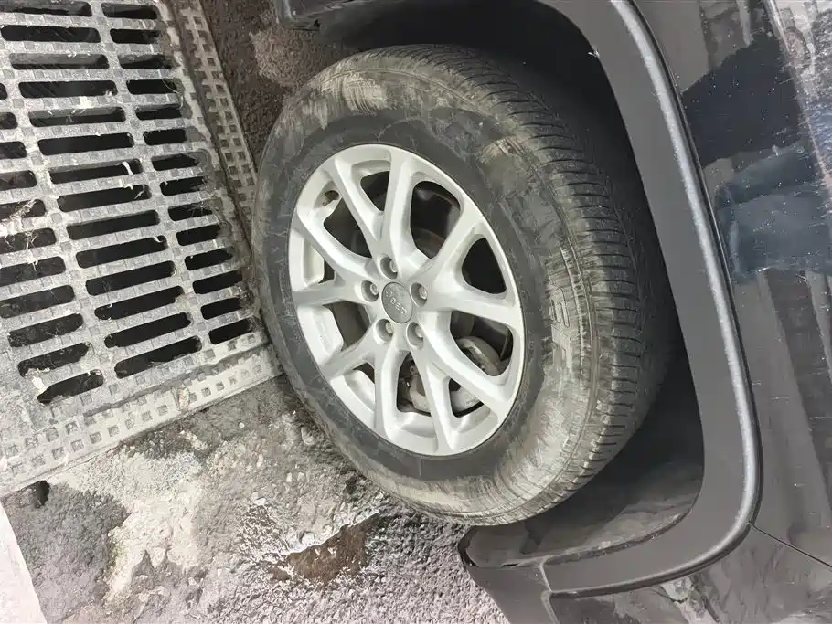 Cherokee 2.4 L Professional Intelligent