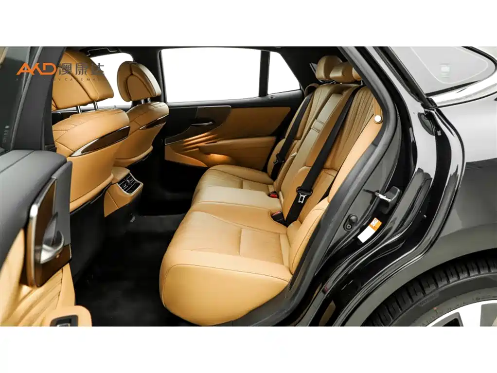 Lexus LS 雷克萨斯LS500 h/3.5/21款/臻越版