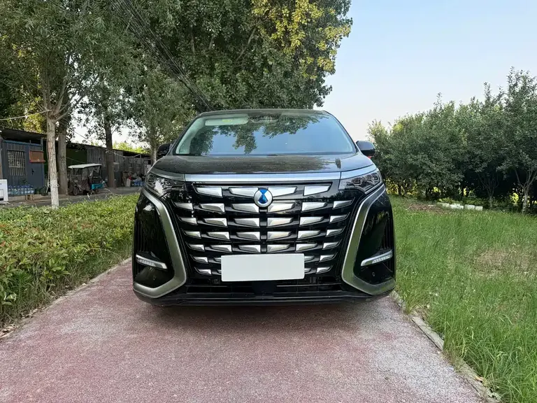 Denza D9 DM-i 970 Luxury