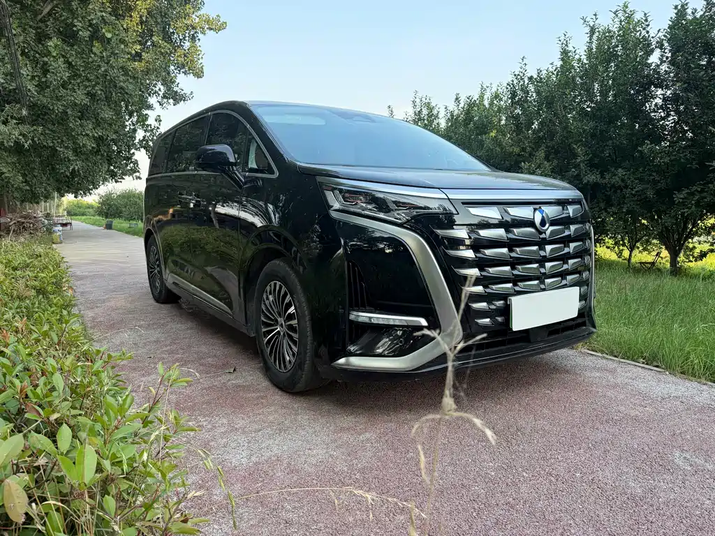 Denza D9 DM-i 970 Luxury