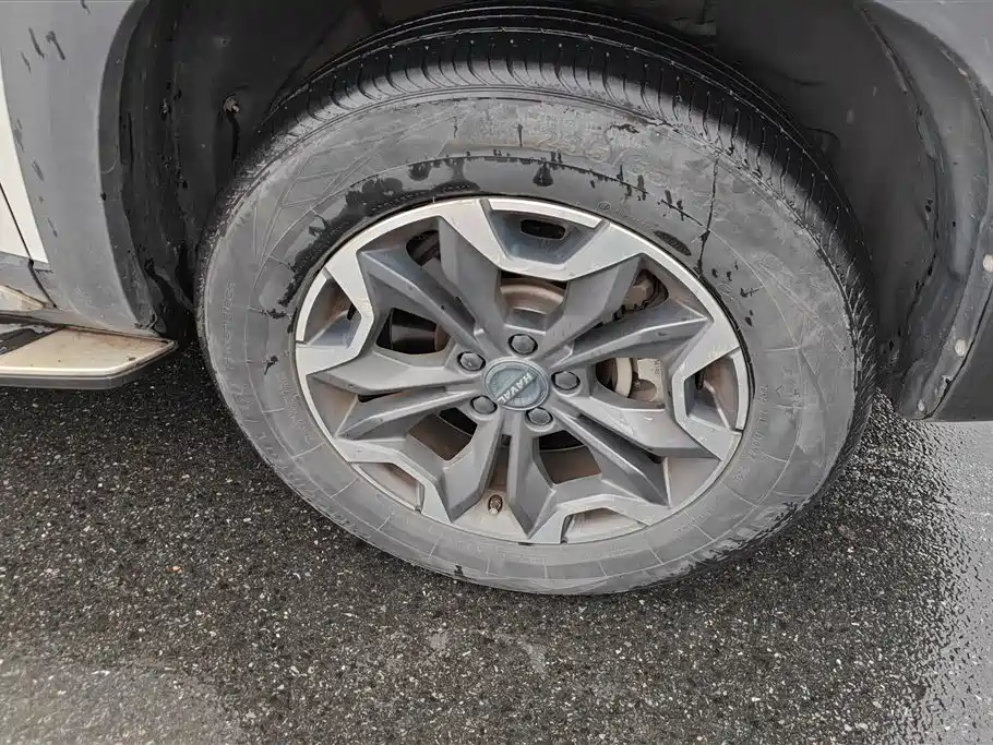 Haval Dargo 2.0 T DCT 4 WD Brilliance Country Dog