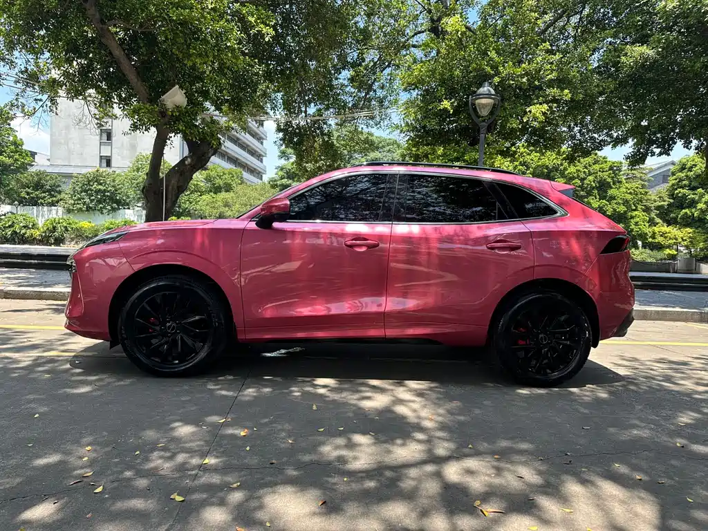 Fengxing T5 EVO 1.5 TD DCT
