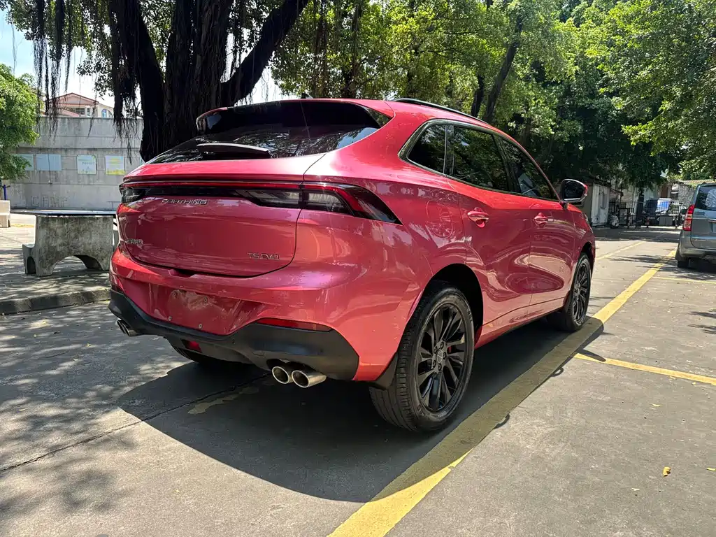 Fengxing T5 EVO 1.5 TD DCT