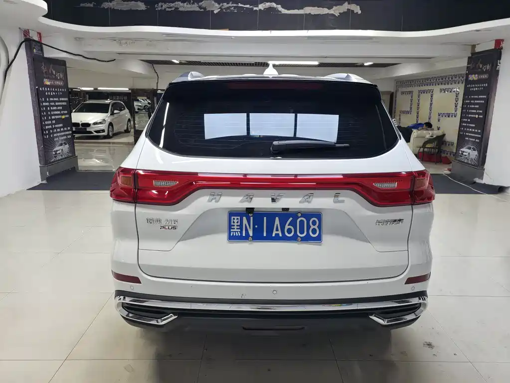 Haval M6 PLUS 1.5 T DCT Luxury Connected