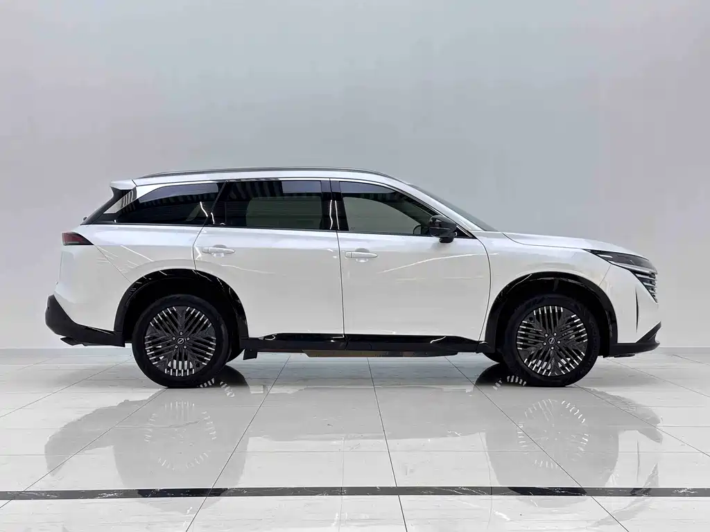 Tanlu 380 VC-TURBO 4 WD Smart Supreme 6-seat
