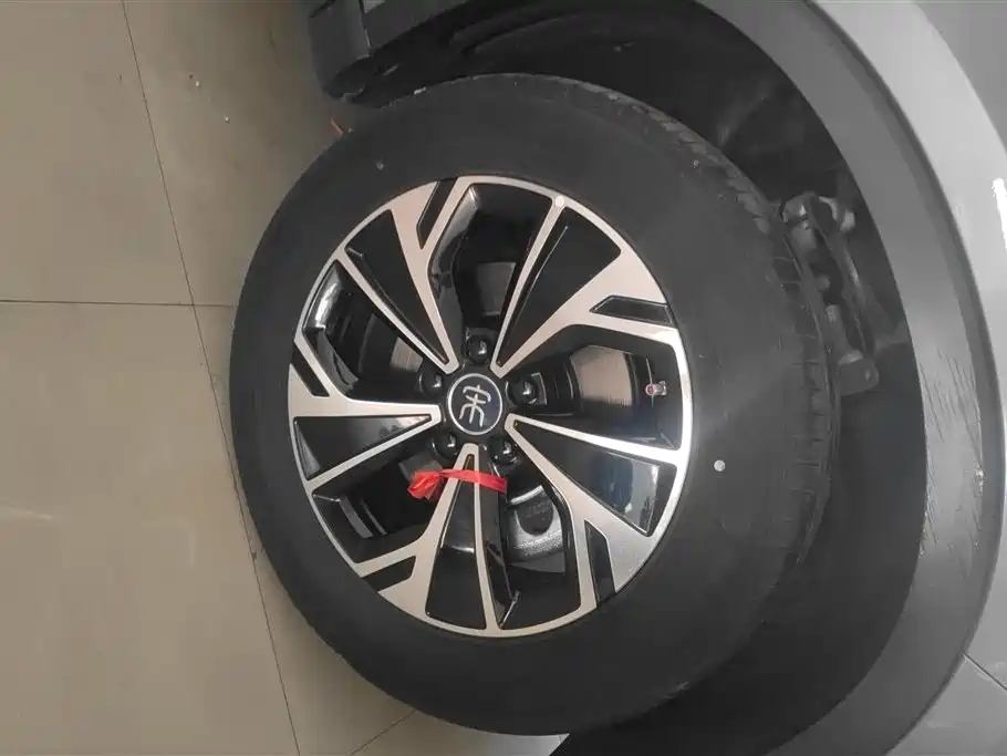 Song Pro NEV 2 nd Gen Smart Drive DM-i 75 KM Leading