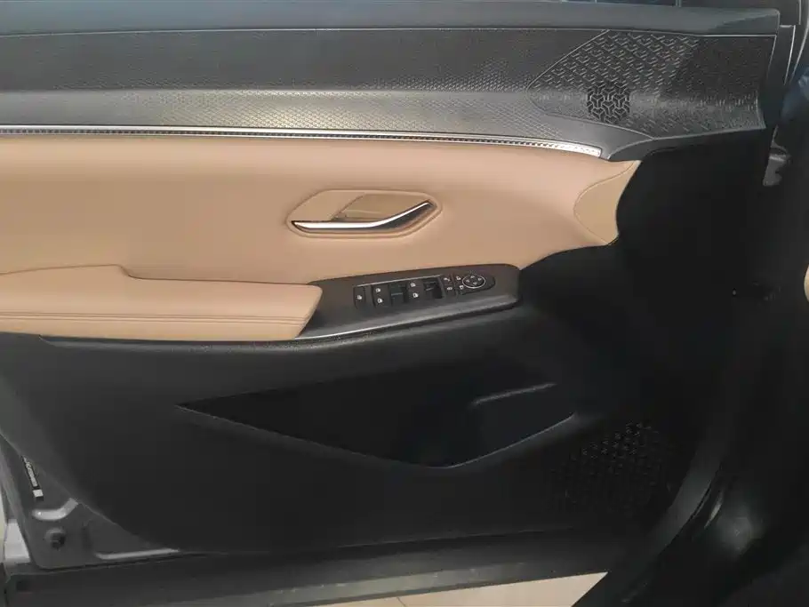 Song Pro NEV 2 nd Gen Smart Drive DM-i 75 KM Leading