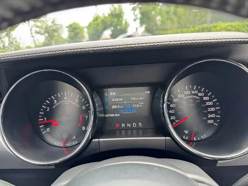 Mustang 2.3 T Performance
