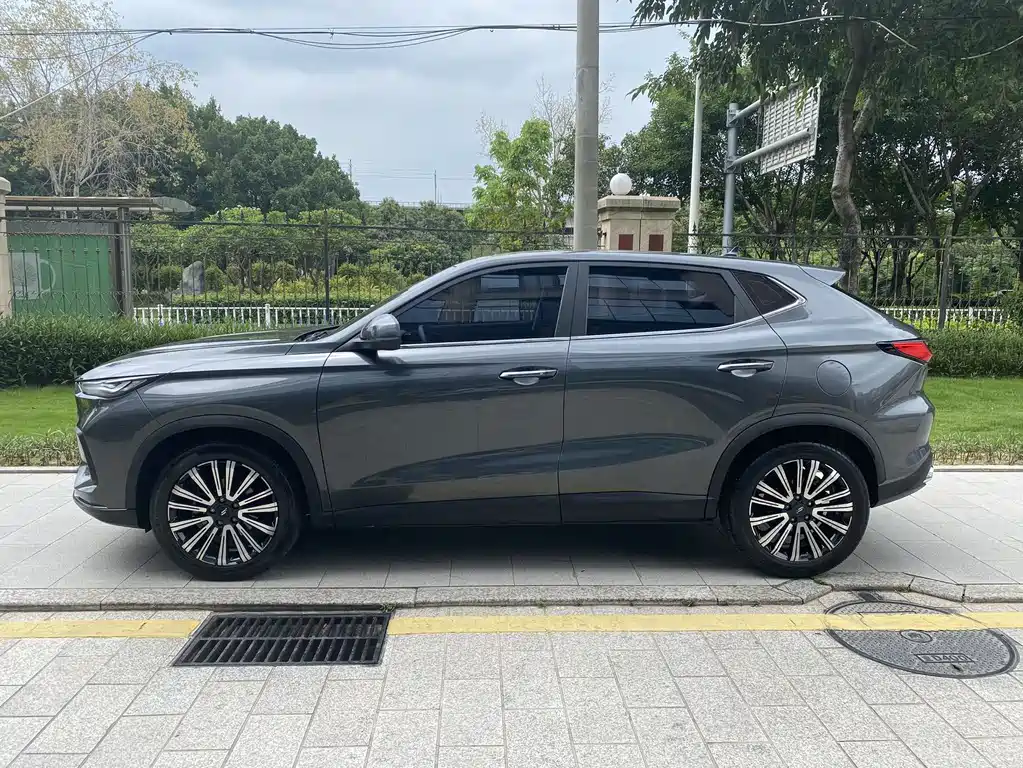 Changan Oshan X5 1.6 L CVT Distinguished