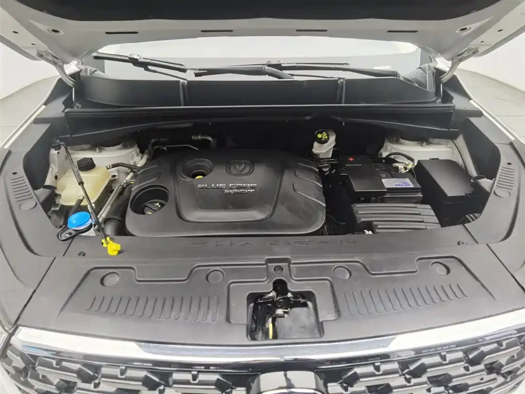 Changan CS55 1.5 T Auto Vivid Color CN-V