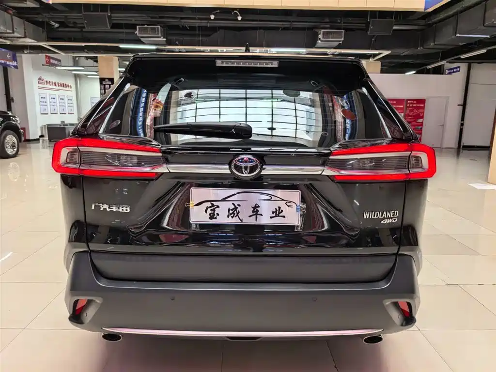Wildlander 2.0 L CVT 4 WD Luxury