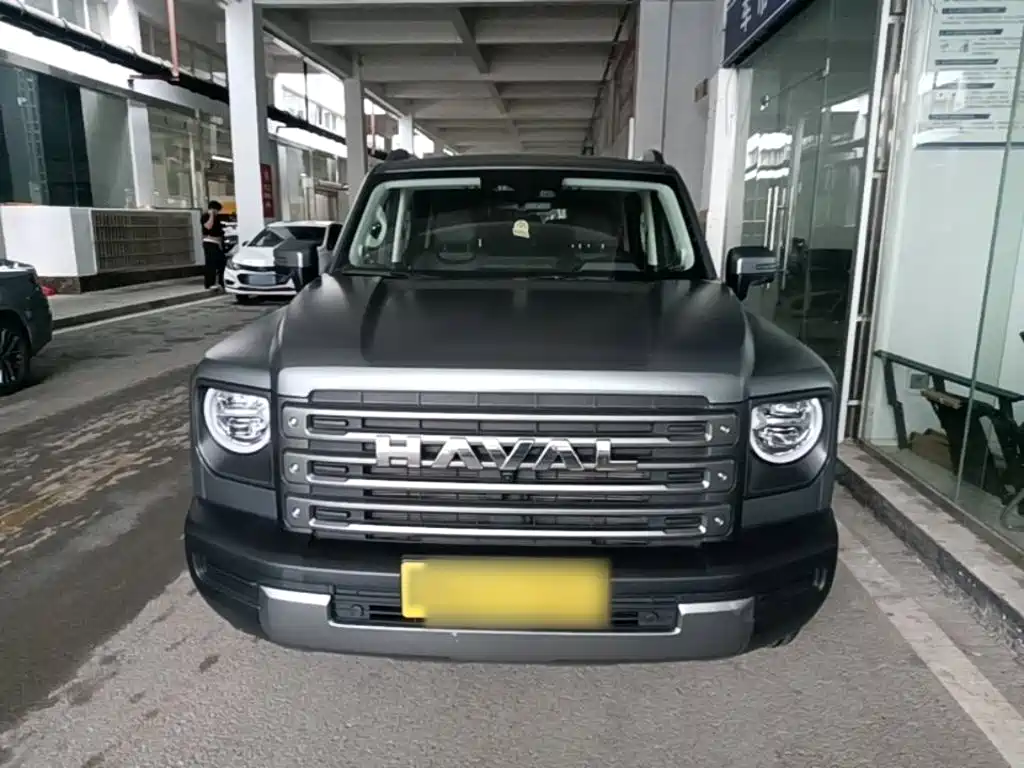 Haval Menglong NEV Hi4 145 Cross