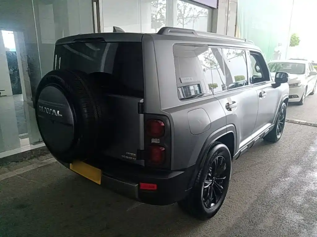Haval Menglong NEV Hi4 145 Cross