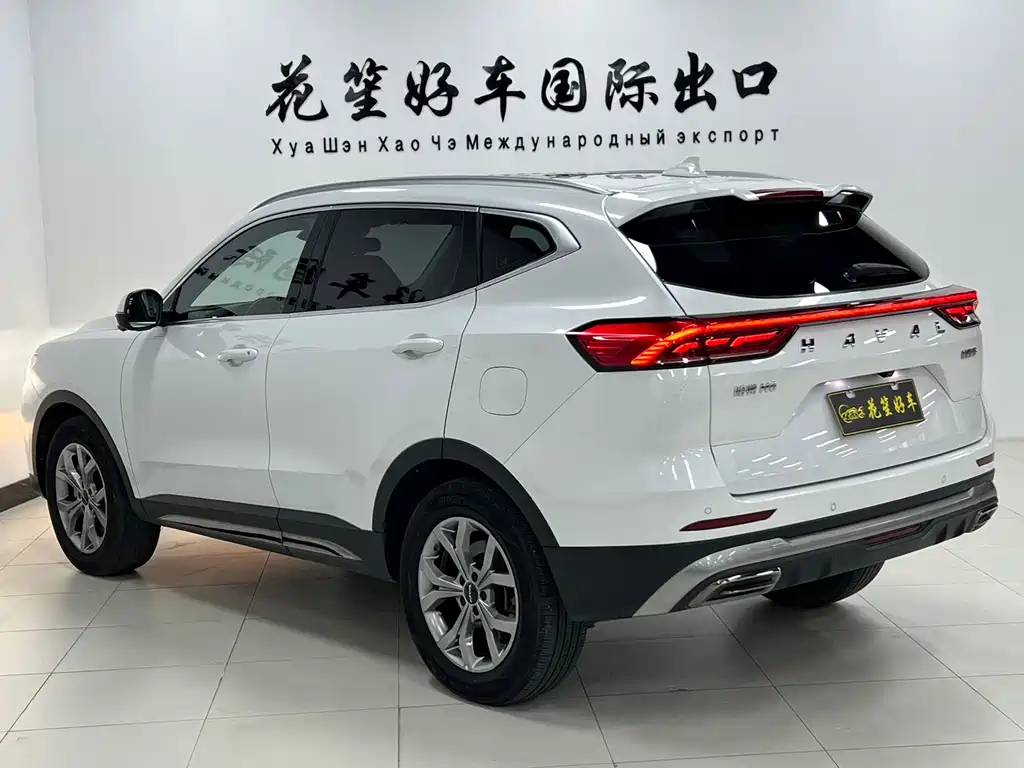 Haval H6 China Style 1.5 T Auto Champion