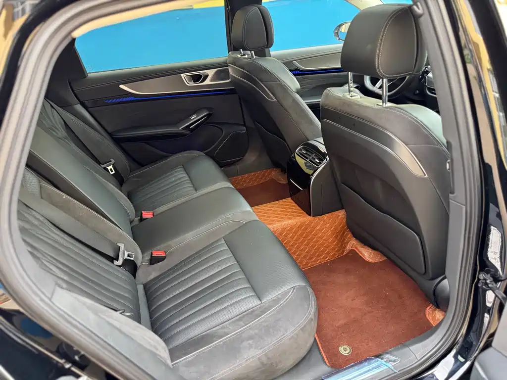 Hongqi H9 2.0 T Flagship Enjoyment Private Style