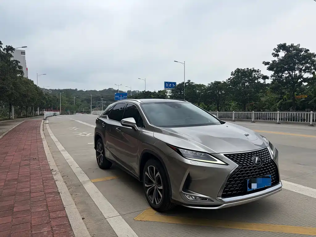 Lexus RX 300 4 WD Elegant CN-VI
