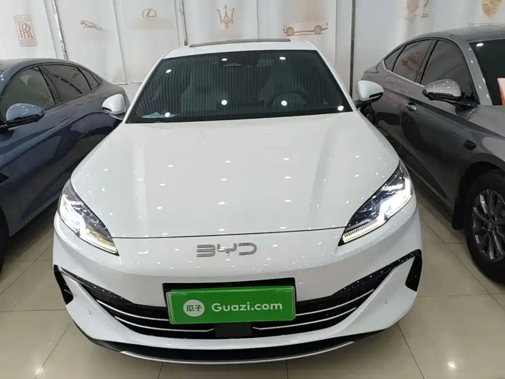 Seal 06 DM-i 120 KM Flagship