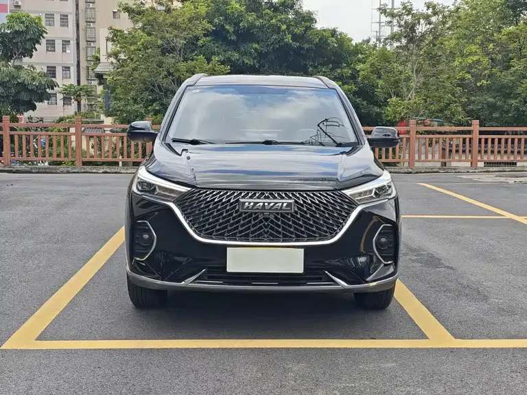 Haval M6 PLUS 1.5 T DCT Luxury Connected