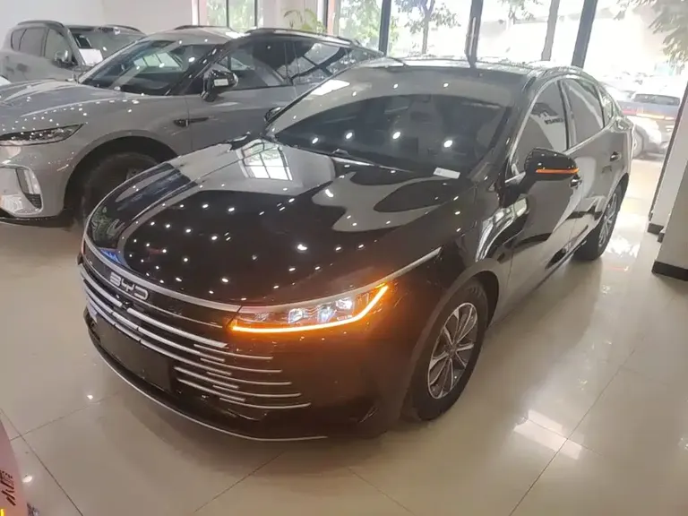 BYD Destroyer 05 Glory DM-i 55 KM Luxury