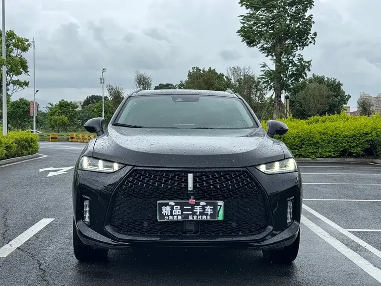 WEY P8 2.0 T Flagship