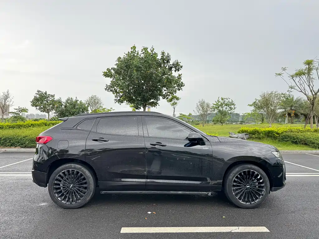 WEY P8 2.0 T Flagship