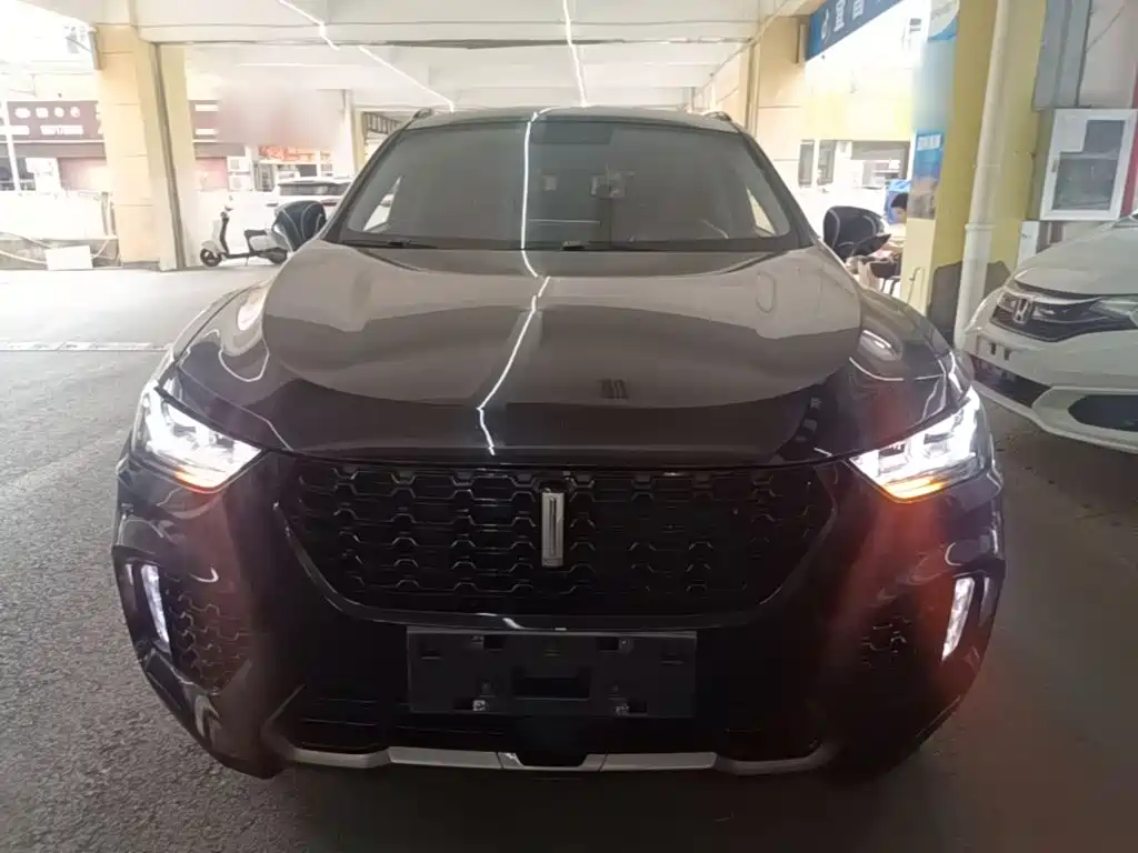 WEY VV5 2.0 T Super Luxury