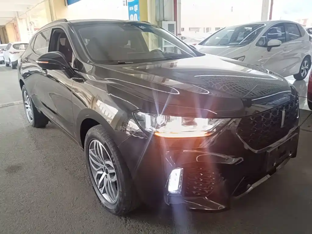 WEY VV5 2.0 T Super Luxury