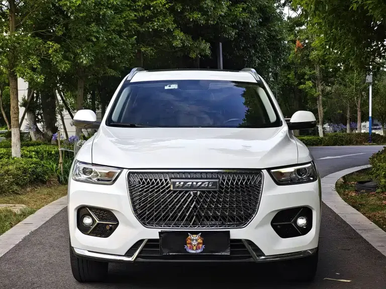 Haval H6 China Style 1.5 T Auto Urban
