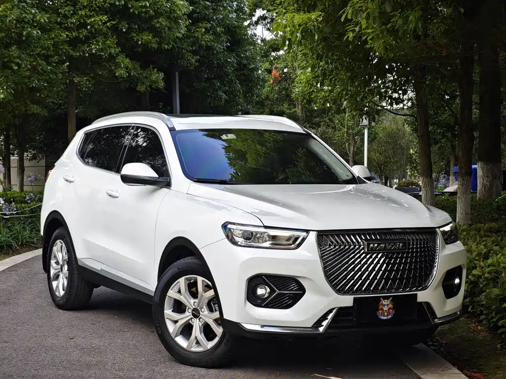 Haval H6 China Style 1.5 T Auto Urban