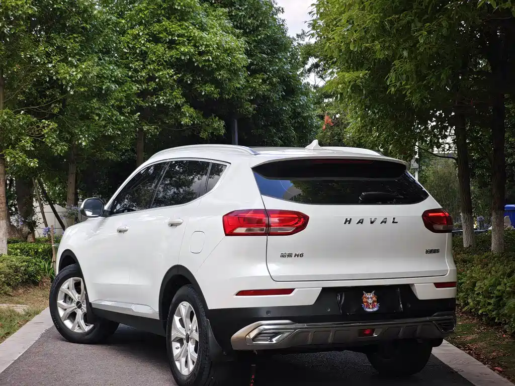 Haval H6 China Style 1.5 T Auto Urban