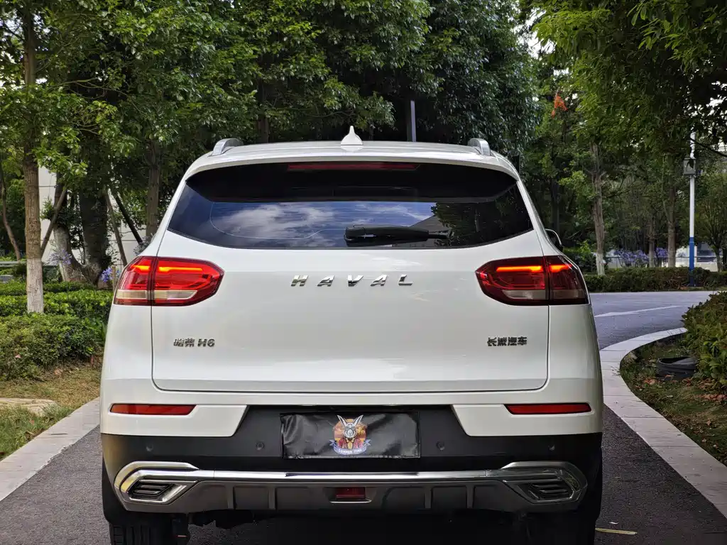 Haval H6 China Style 1.5 T Auto Urban