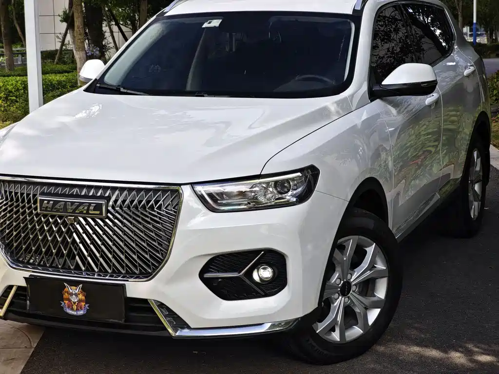 Haval H6 China Style 1.5 T Auto Urban