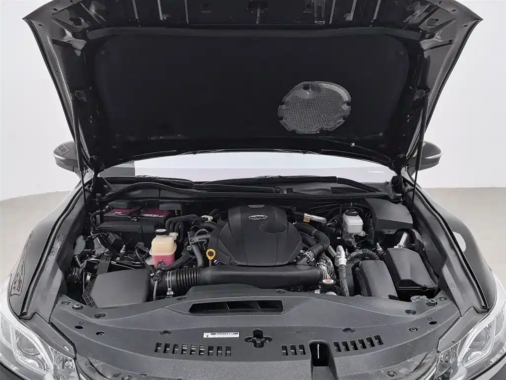 Crown 2.0 T Sport