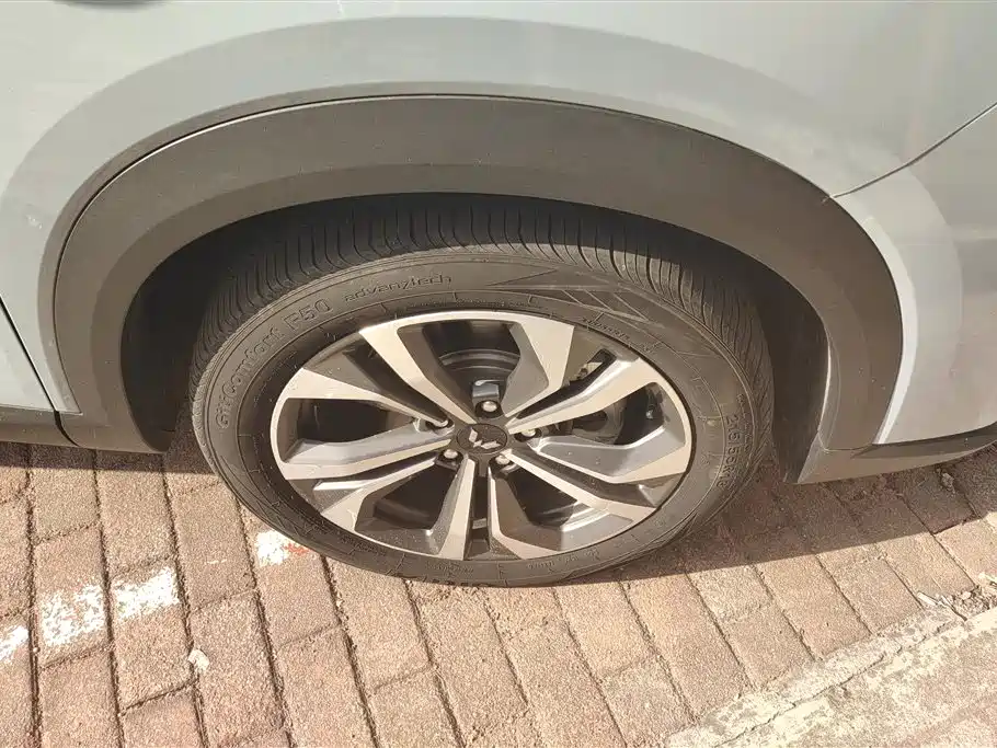 Wuling Xingchen 2.0 L DHT Electric Power