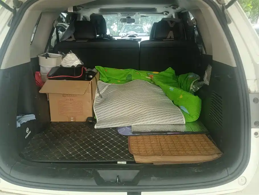 Terra 2.5 L XL Upper 4 WD Auto 4 WD Luxury