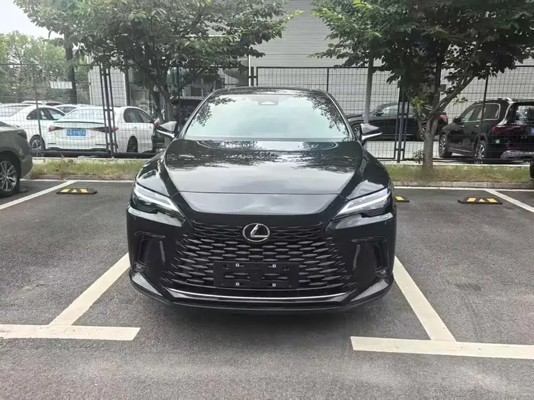Lexus RX 300 4 WD Enjoyment