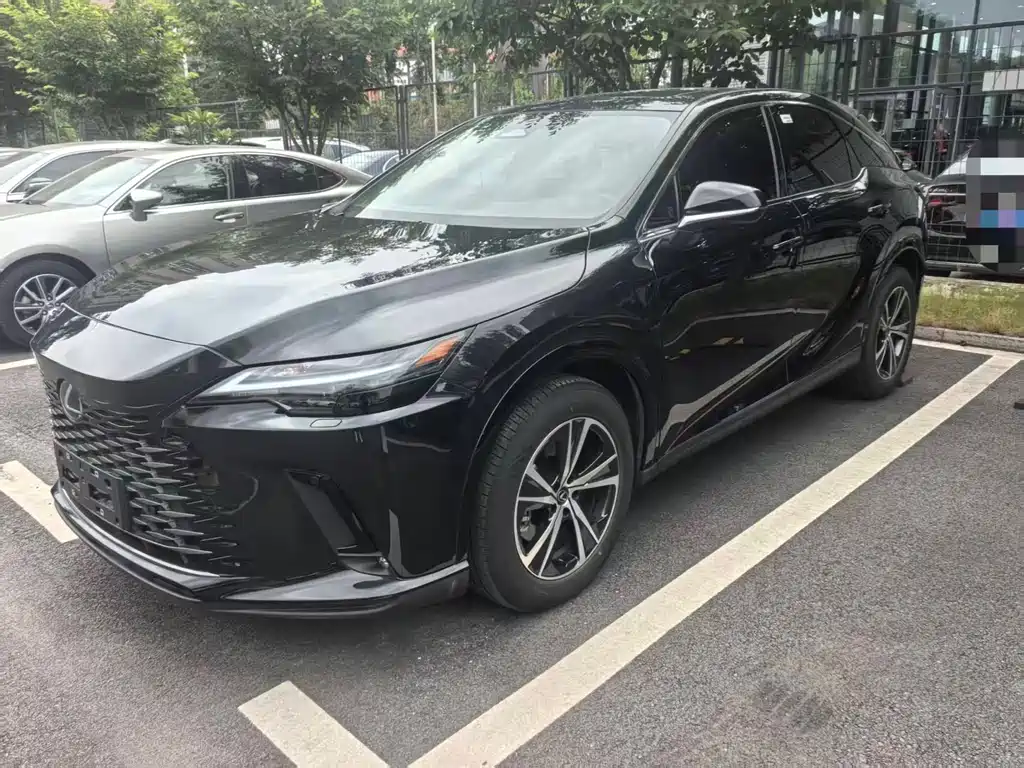 Lexus RX 300 4 WD Enjoyment