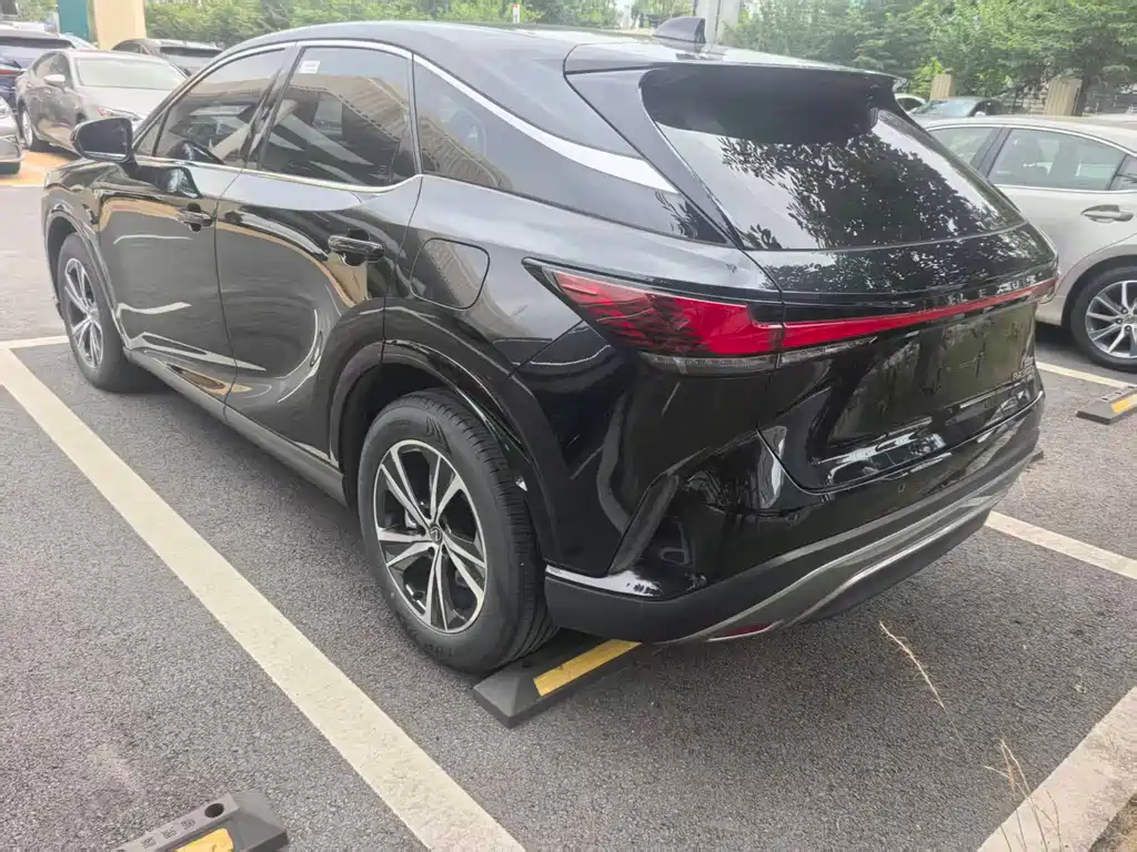 Lexus RX 300 4 WD Enjoyment