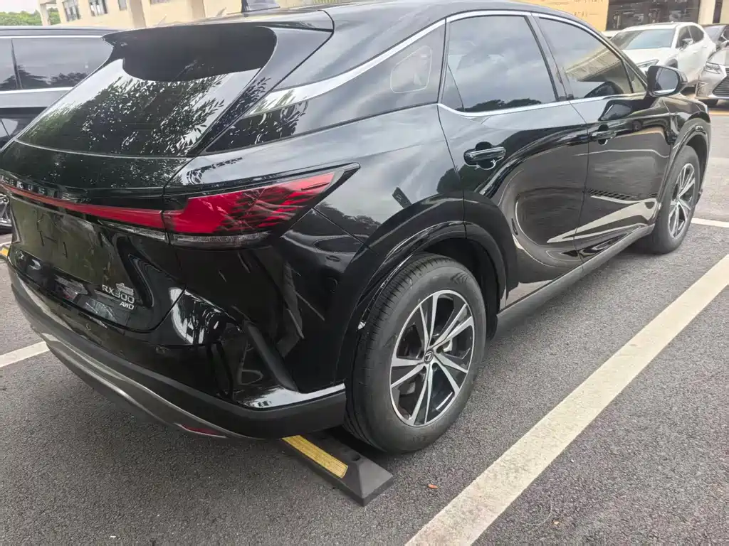 Lexus RX 300 4 WD Enjoyment