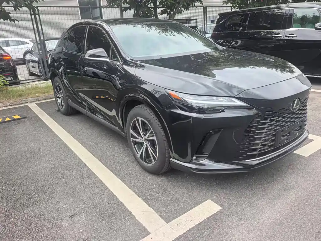 Lexus RX 300 4 WD Enjoyment