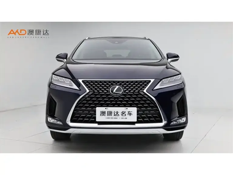 Lexus RX 300 4 WD Elegant CN-VI