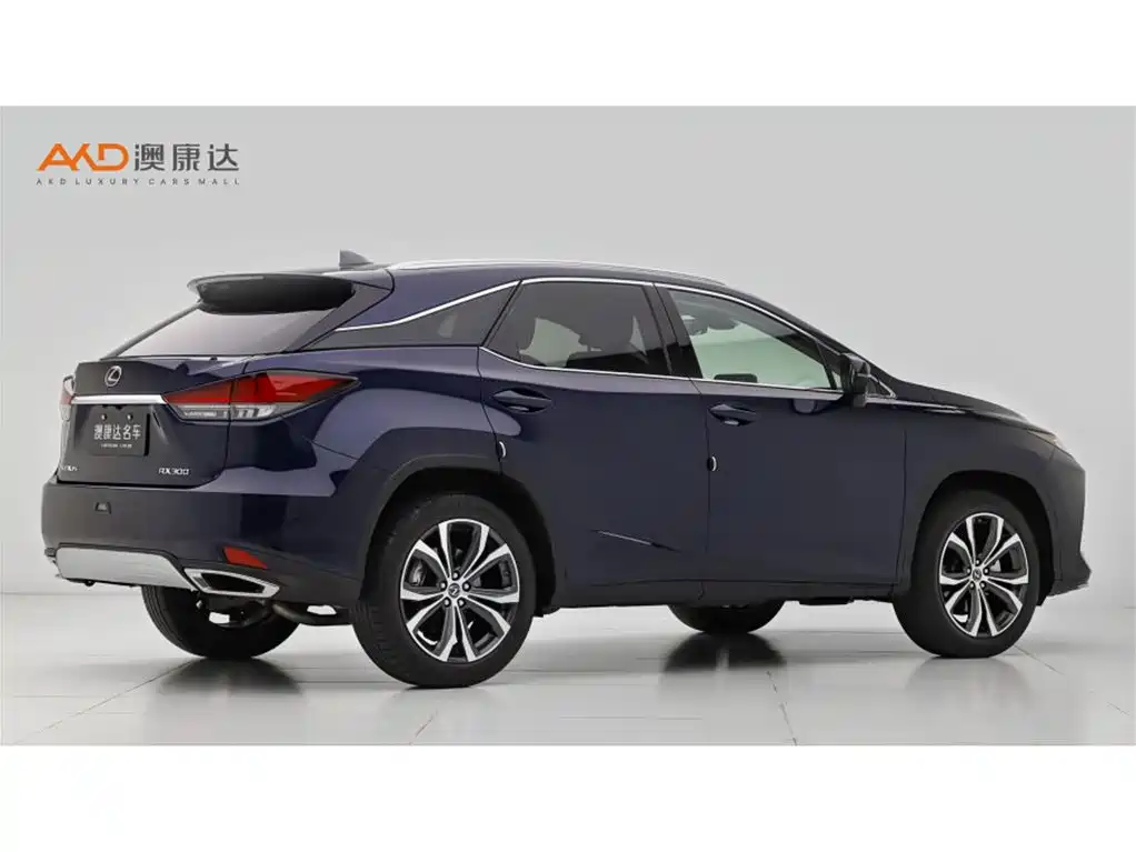 Lexus RX 300 4 WD Elegant CN-VI