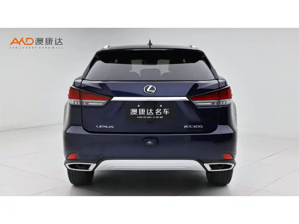 Lexus RX 300 4 WD Elegant CN-VI